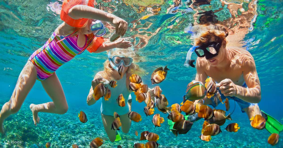 mangrove snorkeling nusa lembongan